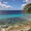 Отель One Ocean Boutique Apartments & Suites Bonaire, фото 16