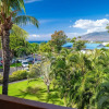 Отель Maui Vistas #3419 2 Bedroom Condo by RedAwning, фото 33