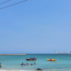Отель Punta Arena Beach Hostel, фото 16