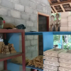 Отель Homestay Miftah Syariah - Hostel, фото 5