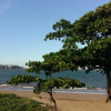 Отель Onça da Praia Hostel, фото 8