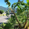 Отель Sen Yun Zhuang Yuan Homestay, фото 21