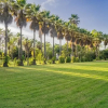 Отель Finca San Javier, фото 14