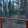 Отель Forest Views From Hot Tub! #158, фото 10
