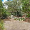 Отель Pool View Condo with Access to Walking or Biking Pathway Throughout Amelia Island Plantation by RedA, фото 3