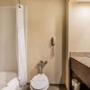 Отель Comfort Inn & Suites Jasper Hwy 78 West, фото 27