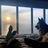 Отель Baja Off the Grid, Luxury Nature Glamping Retreat, фото 7