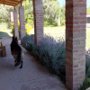 Отель Descanso Cordillerano, фото 9