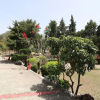Отель OYO 4169 Resort in Bhimtal, фото 15