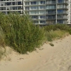 Отель Noordpas Comfortable Holiday Residence, фото 1