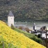 Отель Ferienwohnungen-In-Bacharach, фото 18