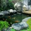 Отель Wangjiazhuang Inn, фото 2