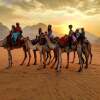 Отель Wadi Rum Moon Light Camp, фото 11