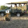 Отель Timbavati Safari Lodge, фото 20