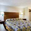 Отель Econo Lodge Springfield, фото 15