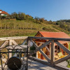 Отель Vineyard Cottage Grajska Kašča, фото 16