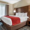 Отель Comfort Inn & Suites Downtown near University, фото 15