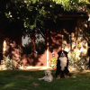 Отель Bed and breakfast dopo il settimo cielo, фото 9
