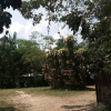 Отель Villa Hermosa de Tambopata, фото 17