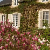 Отель Manoir Du Vieux Cedre, фото 16