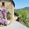 Отель Podere Villa Apt Gigi Pietrabuona, фото 13