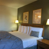 Отель Amerihost Inn & Suites Fulton, фото 7