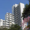 Отель Apartamento Lins de Vasconcelos, фото 1