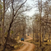 Отель The Riverwood Forest Retreat - Pench, фото 45