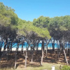 Отель Villa Mare, фото 22