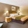 Отель Red Roof Inn Kenner – New Orleans Airport NE, фото 5