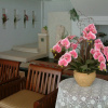 Отель Casa Holiday Hotel, фото 5