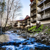 Отель Bear Creek Inn, фото 1