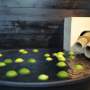 Отель Kawamoto villa 3466, фото 6