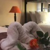 Отель Elsje's Country Inn - Guesthouse, фото 38