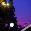 Отель the Green Youth Hostel,Hangzhou, фото 49