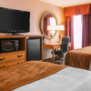 Отель Comfort Inn & Suites and Conference Center, фото 3