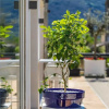 Отель Domo20 Hotel & Sky Bar, фото 40