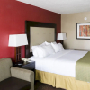 Отель Holiday Inn Big Rapids, фото 6