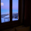 Отель Zifin Hotel, фото 8