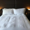 Отель Vahlavi Guest House, фото 19