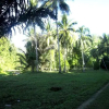 Отель Bogani-Homestay, фото 23