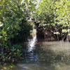 Отель The Mangroves Villa Goviyapana, фото 23