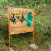 Отель Finca Ecolodges El Ocelote, фото 8