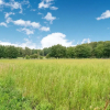 Отель Lovely Holiday Home in Lunteren near Forest, фото 16