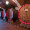 Отель Villa Svetoni Wine Resort, фото 15