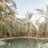 Отель siwa safari paradise hotel, фото 6