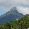 Отель Mt Warning Rainforest Retreat, фото 31