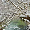 Отель Dipla Sto Potami (Next To The River), фото 22
