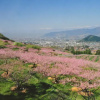 Отель Isawa Central, фото 8