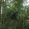 Отель Bukit Menday Guest House, фото 28